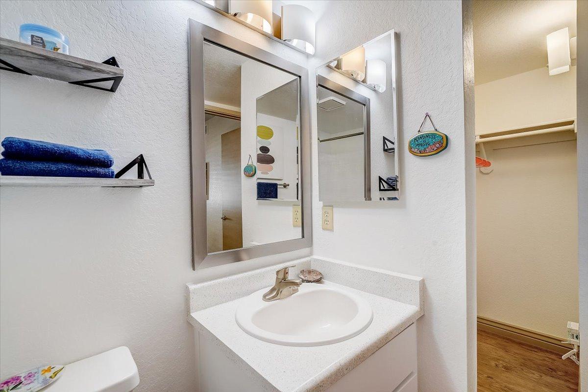 Primary bathroom vanity, mirror and shelves