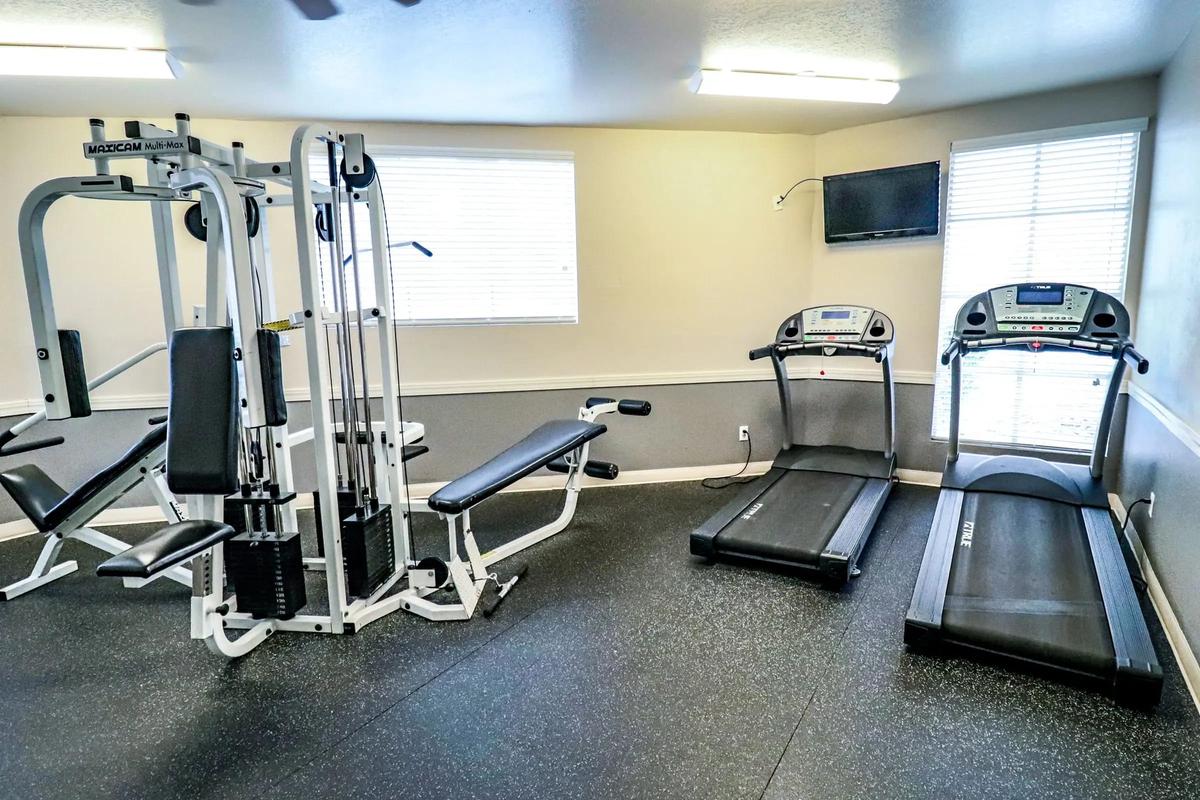 Fitness center with multi-gym machine, weight bench and two treadmills