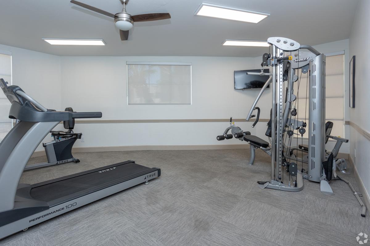 Fitness room with treadmill, cable machine and ceiling fan, carpeted