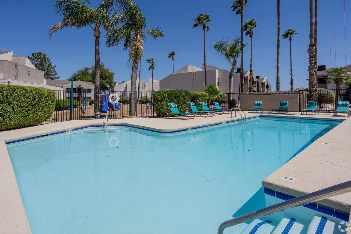 Swimming pool with ladder, lounge chairs and palms, daytime